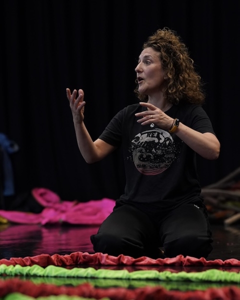 Image credit: Liz Clark, Delighted by Dance.